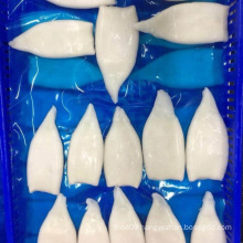 frozen squid U5 IQF squid tube price illex squid